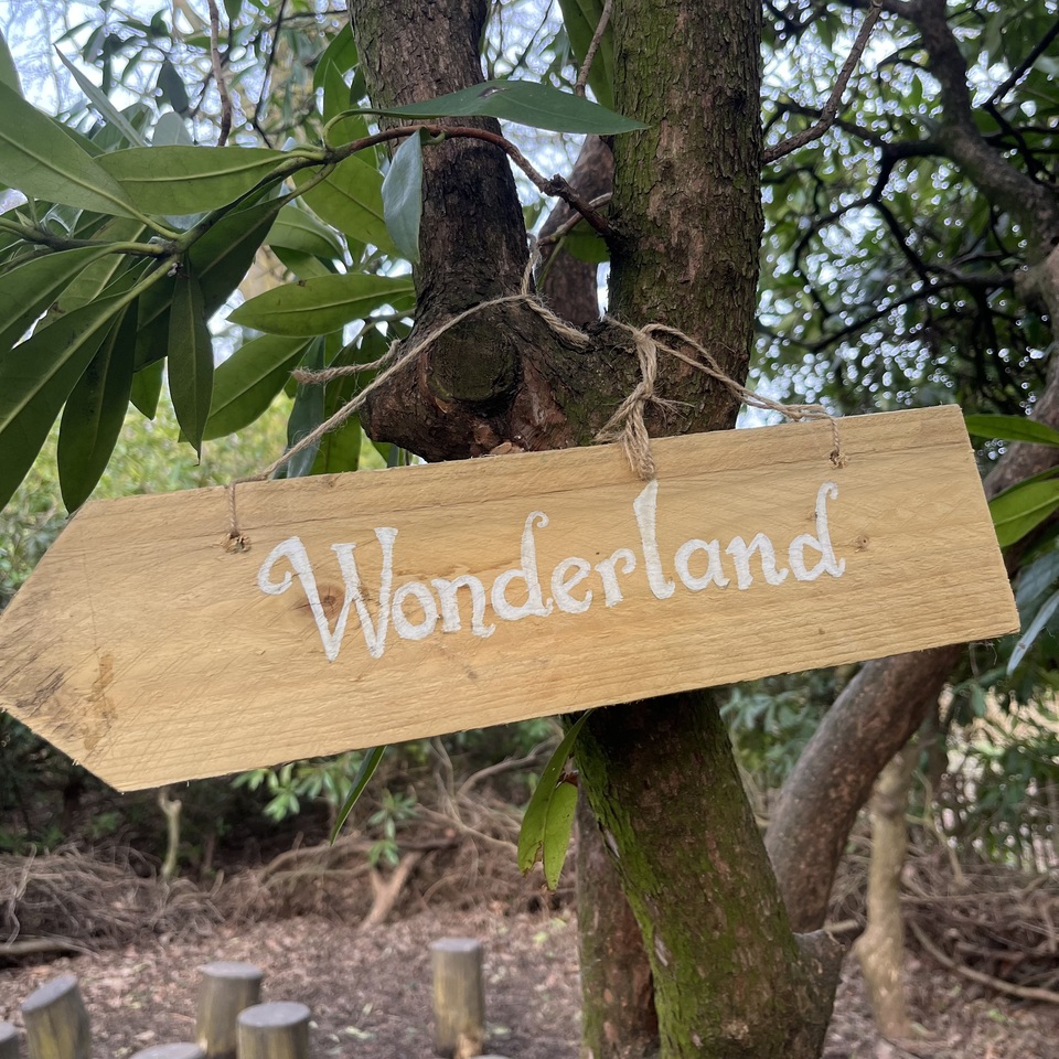 A signpost in a forest that says "Wonderland"